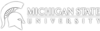 michigan-university